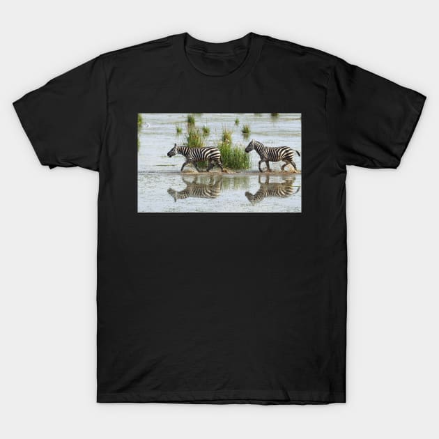 Zebras Cantering Across The Swamp T-Shirt by Carole-Anne